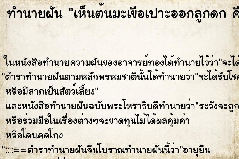 ทำนายฝัน เห็นต้นมะเขือเปาะออกลูกดก คื ตำราโบราณ แม่นที่สุดในโลก